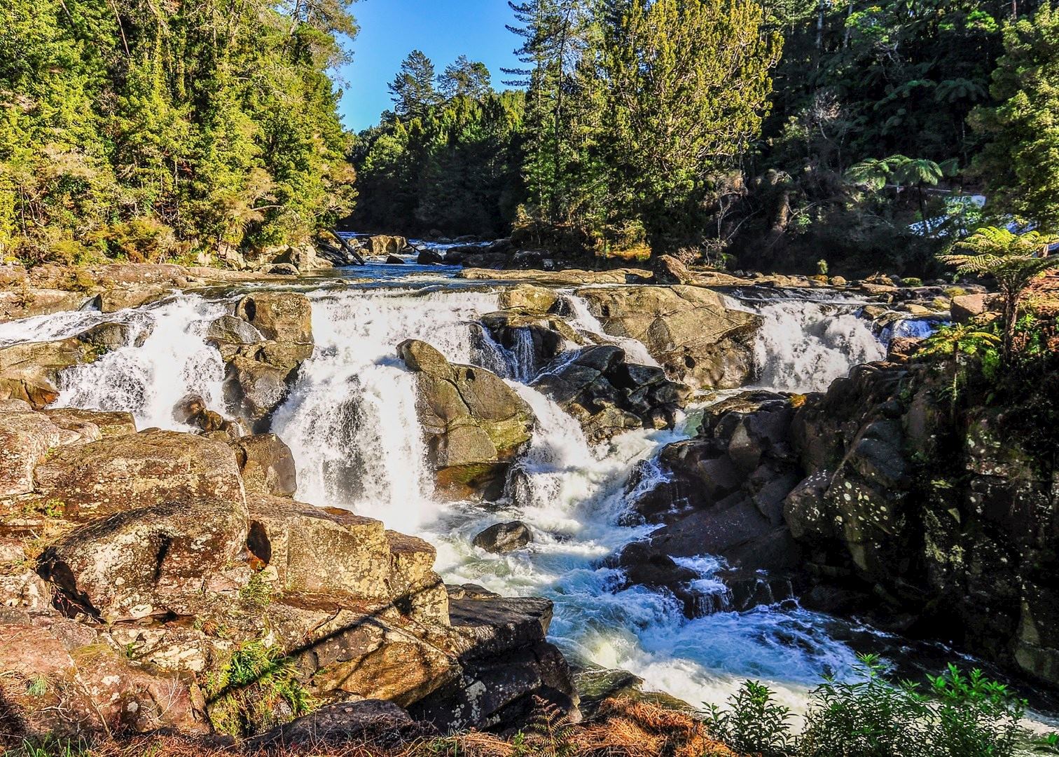 Visit Coromandel Peninsula, New Zealand Audley Travel
