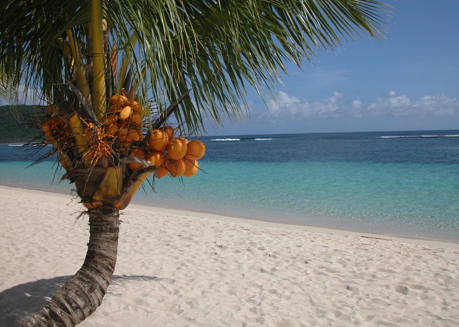 samoa chat rooms Samoa chat : are you from samoa you are welcome to join our weirdtowncom chat rooms samoa chat room is the place where chatters from samoa come to chat and make new friends. samoa chat rooms Samoa chat : are you from samoa you are welcome to join our weirdtowncom chat rooms samoa chat room is the place where chatters from samoa come to chat and make new friends.