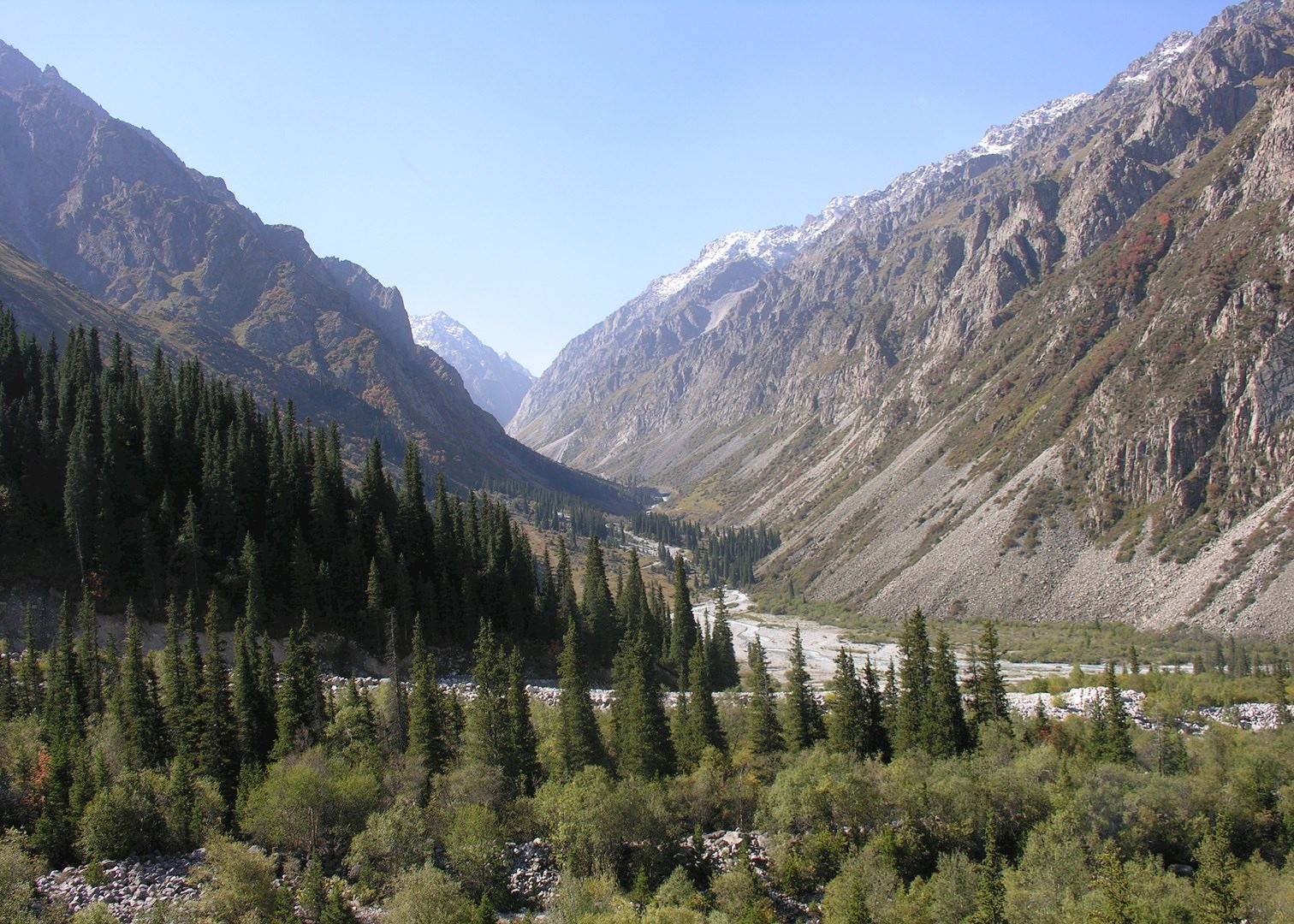 Ала Арча Киргизия бойрок
