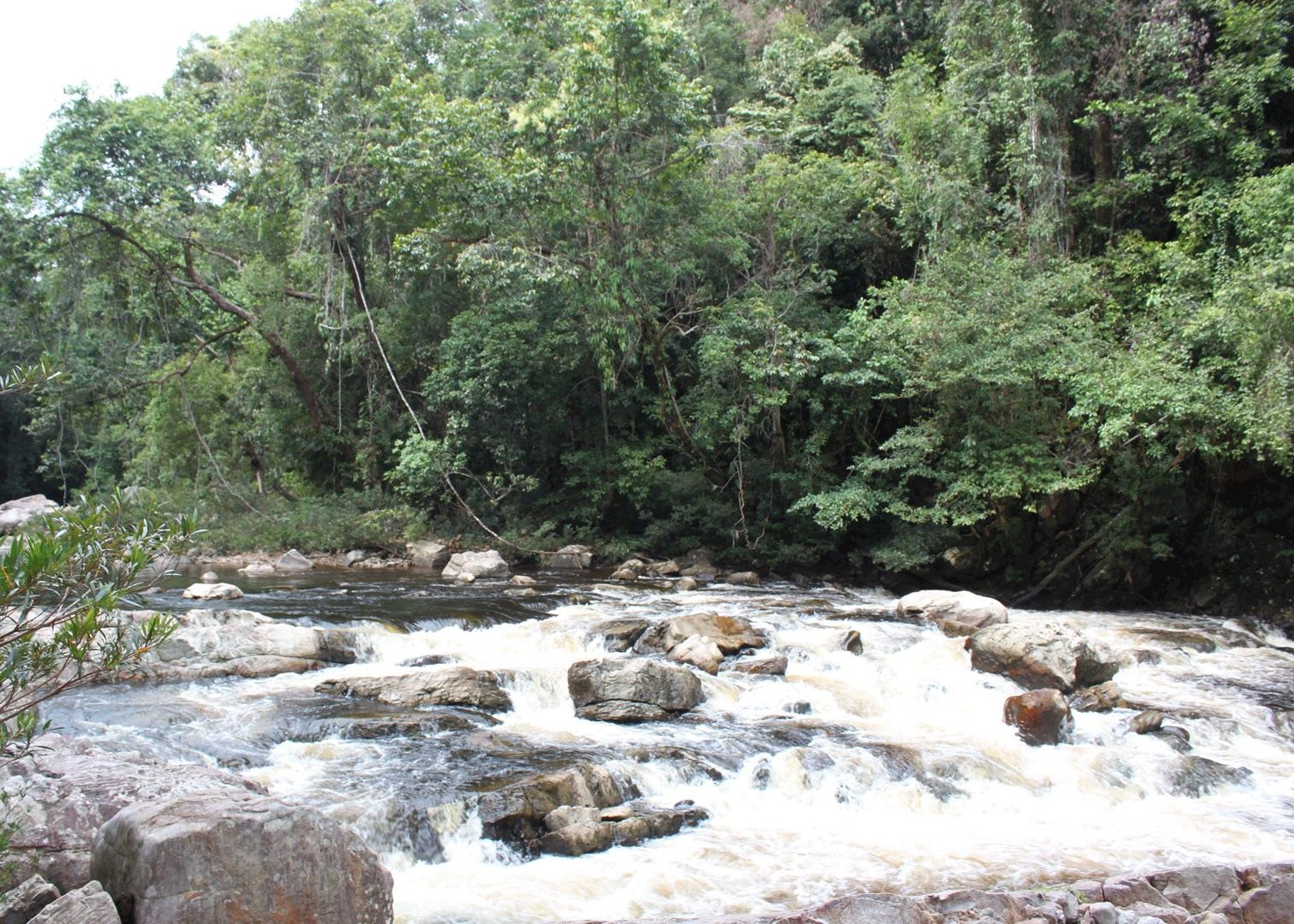 Visit Taman Negara National Park, Malaysia Audley Travel
