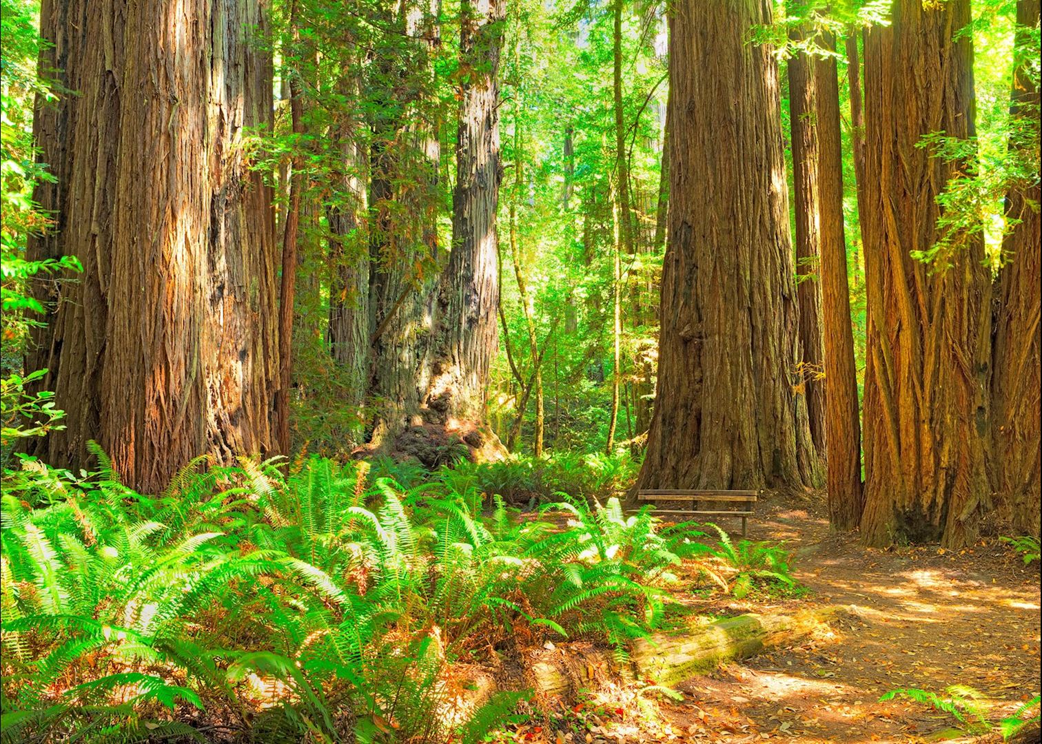 Visit Eureka on a trip to California Audley Travel