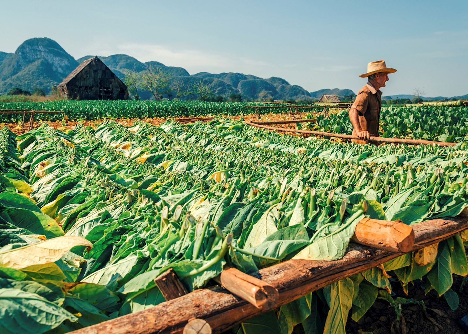 Visit Viñales on a trip to Cuba | Audley Travel