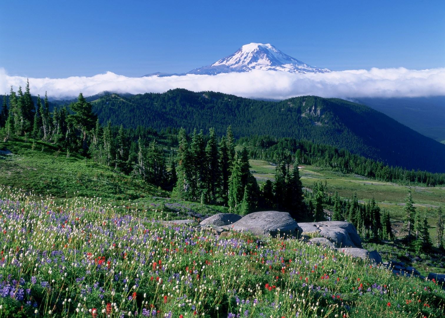 Visit Mount Rainier National Park The Usa Audley Travel