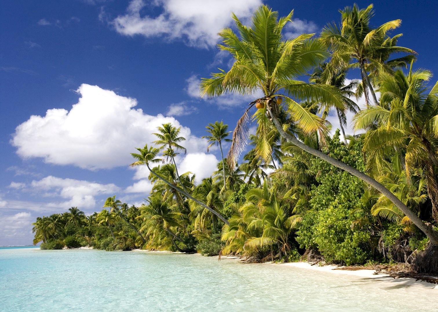 cruise around cook islands