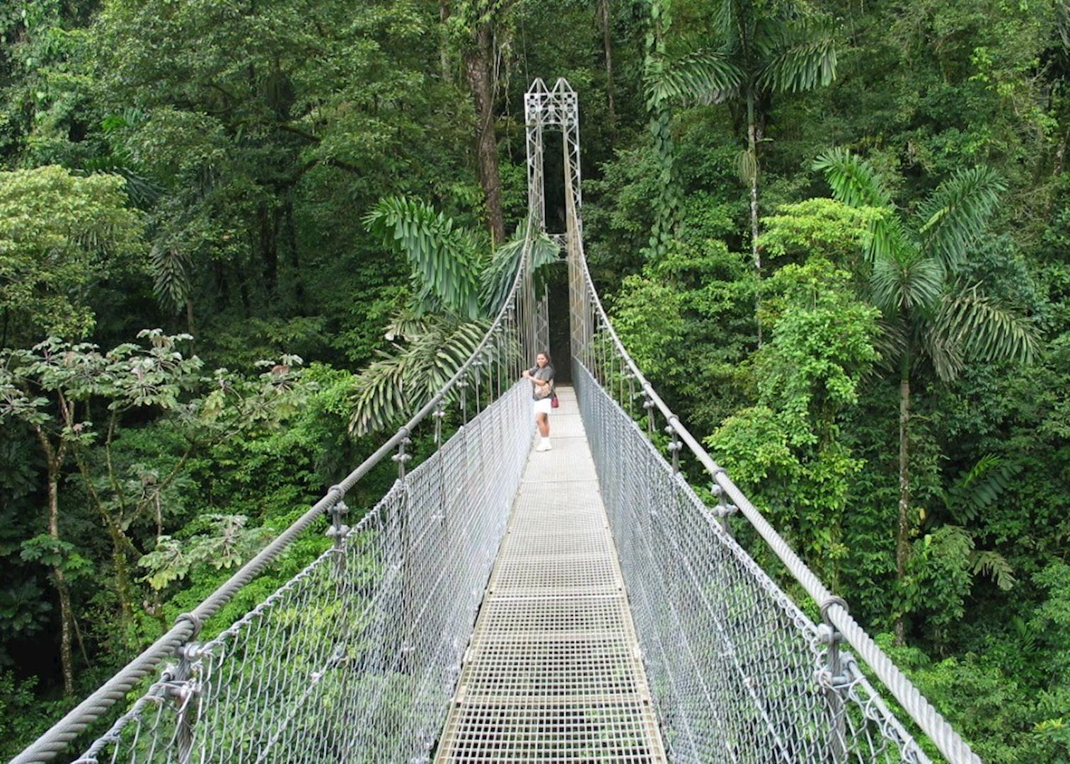 arenal volcano hanging bridges tour