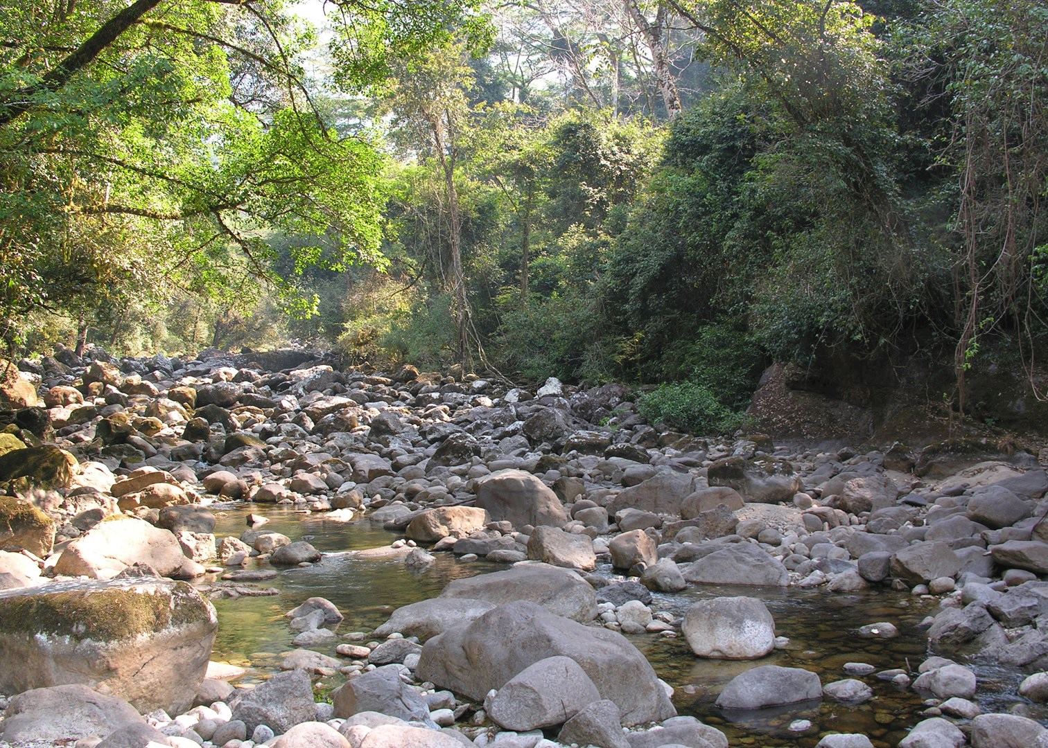Lujeri Tea Estate Hotels In Thyolo Region Audley Travel