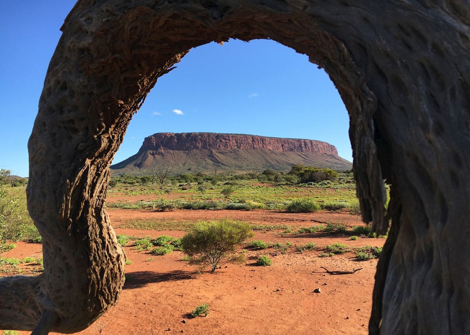 Mount Conner Outback Safari SEIT Safaris Audley Travel