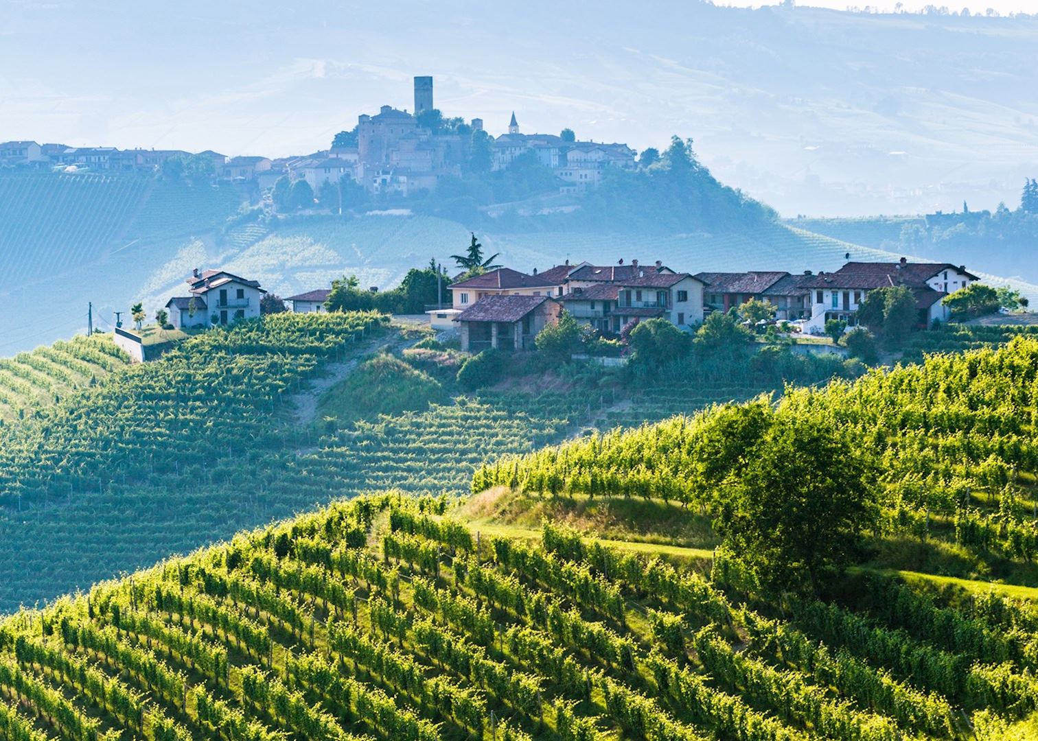 Barolo village and winery tour Audley Travel