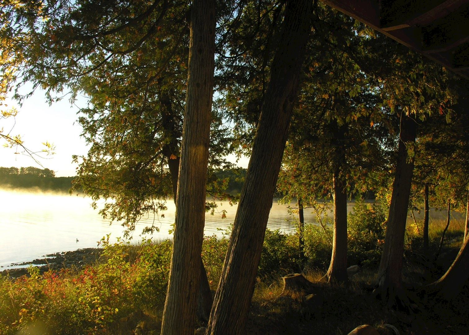 Rural Ontario