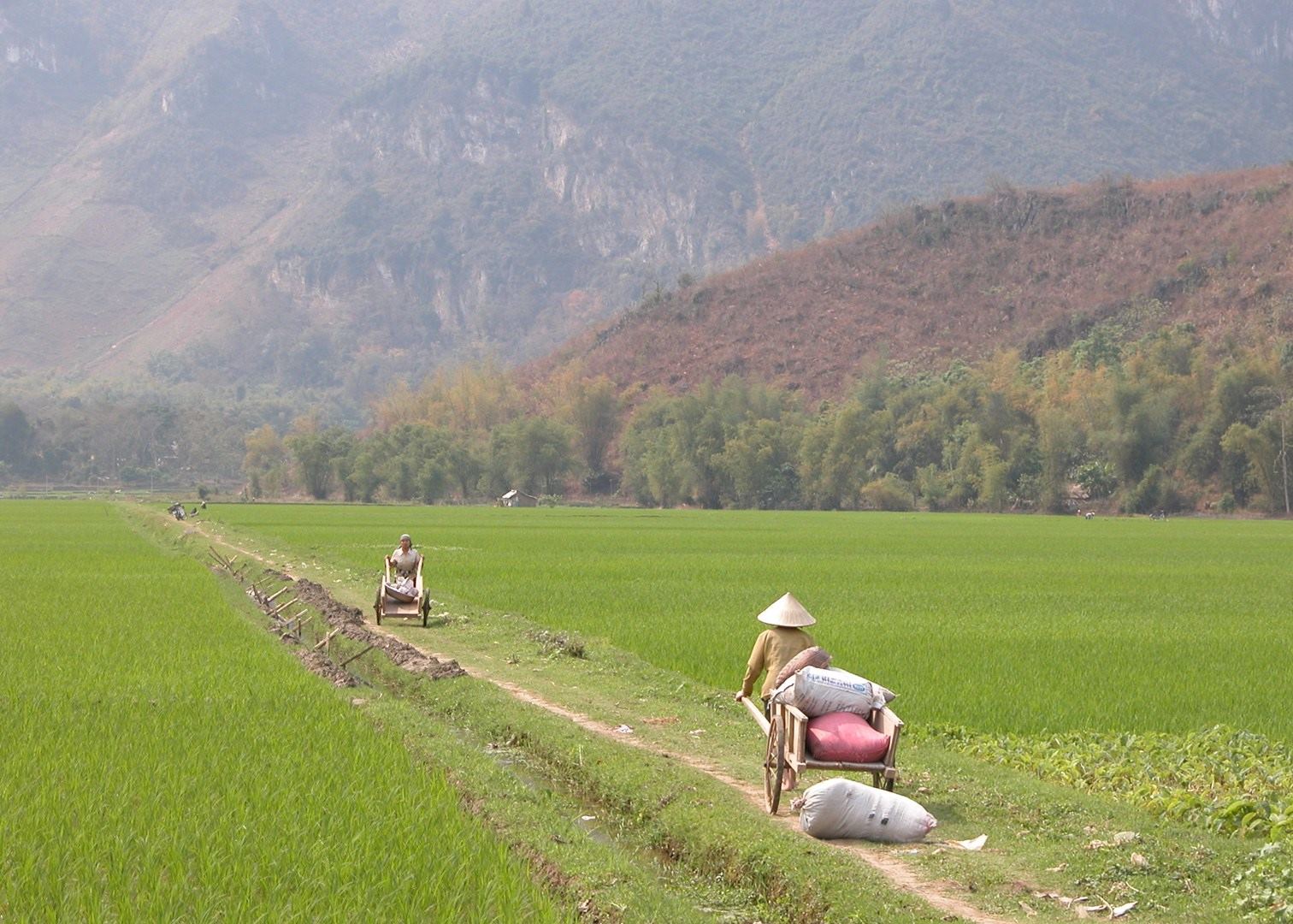 What to do in Vietnam: our highlights guide | Audley Travel