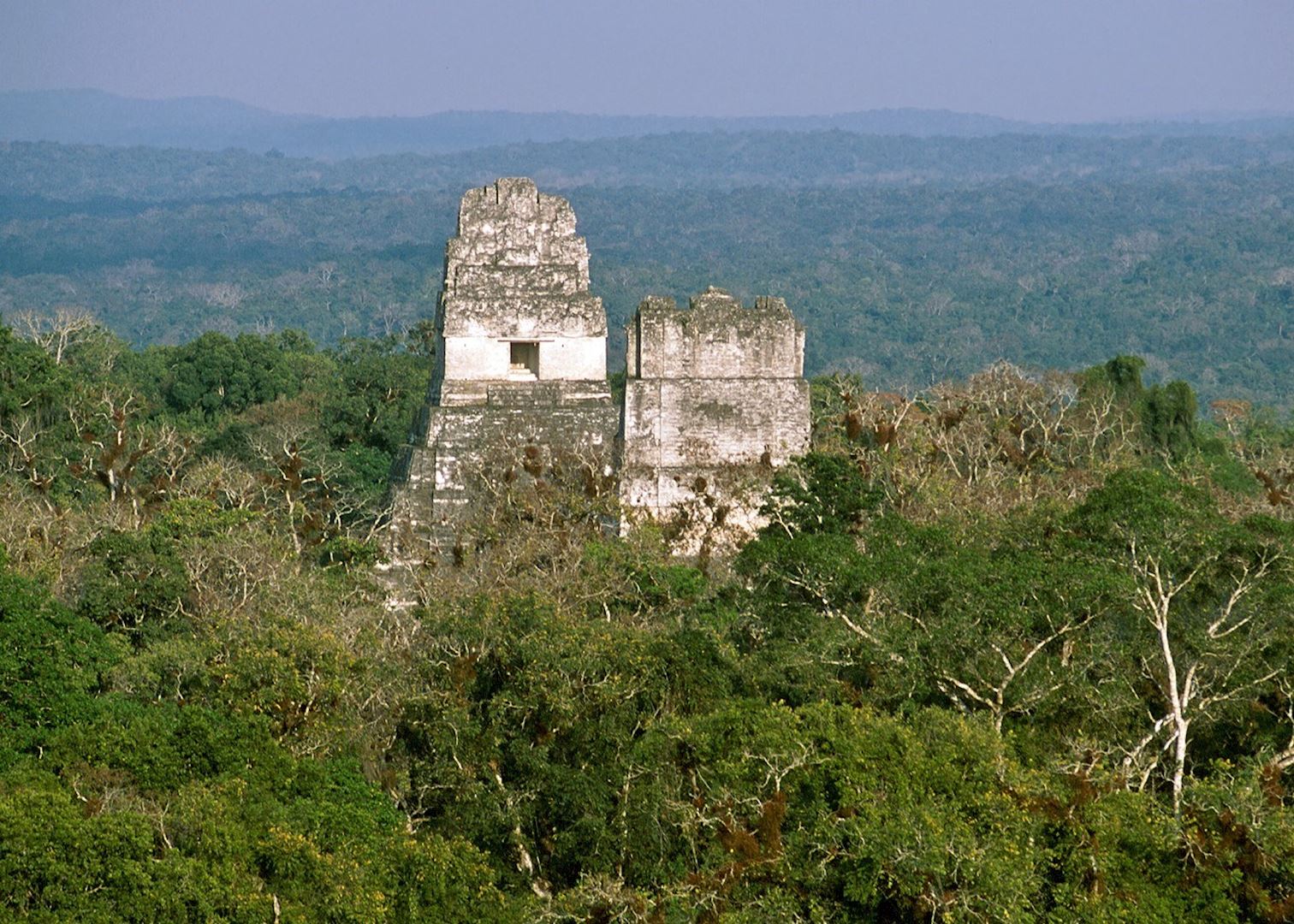 Visit Tikal & El Petén on a trip to Guatemala Audley Travel
