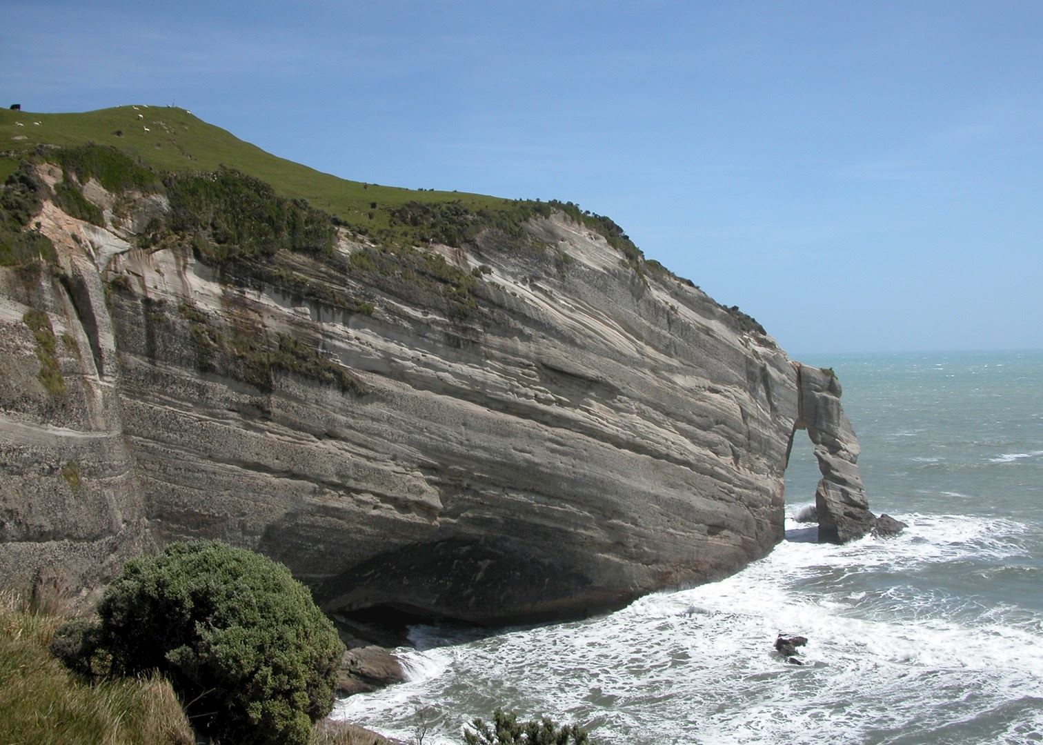 Visit Collingwood Amp Farewell Spit Audley Travel