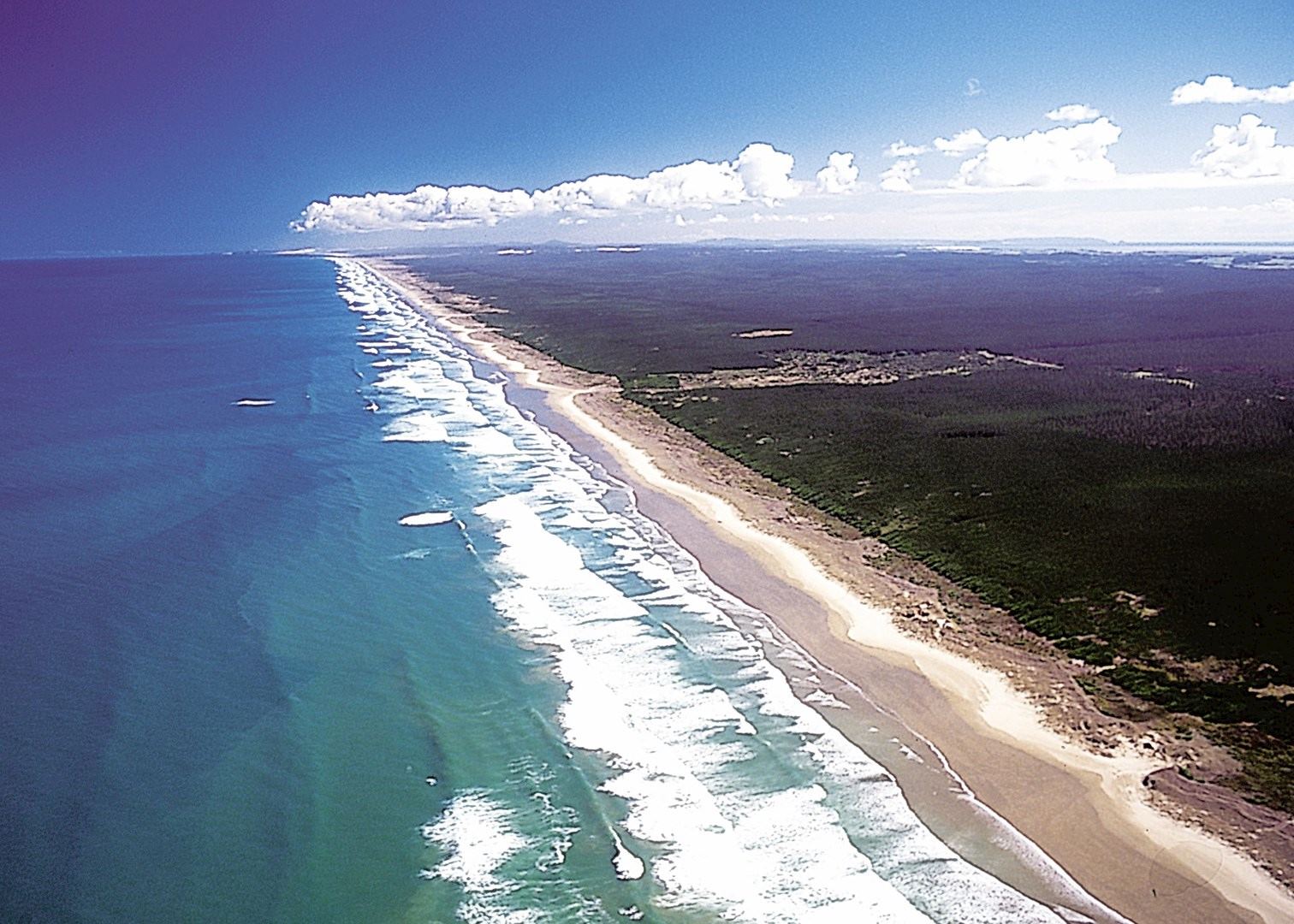 This continent had an abnormally straight coastline r/civ