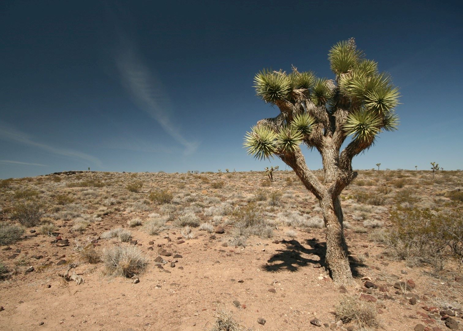 Visit Death Valley National Park, California | Audley Travel