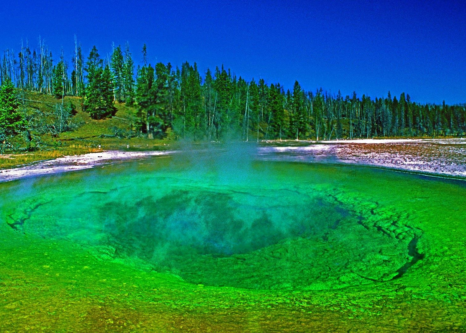 Visit Yellowstone National Park The Usa Audley Travel