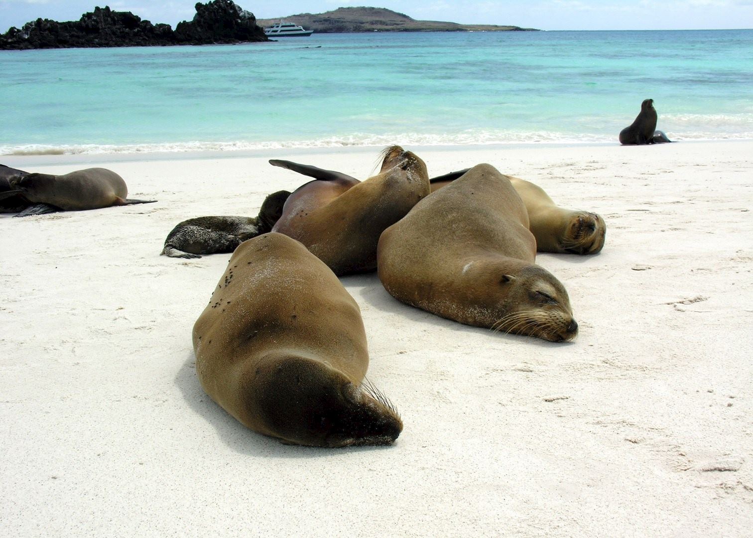 Cruises In The Galapagos | Audley Travel