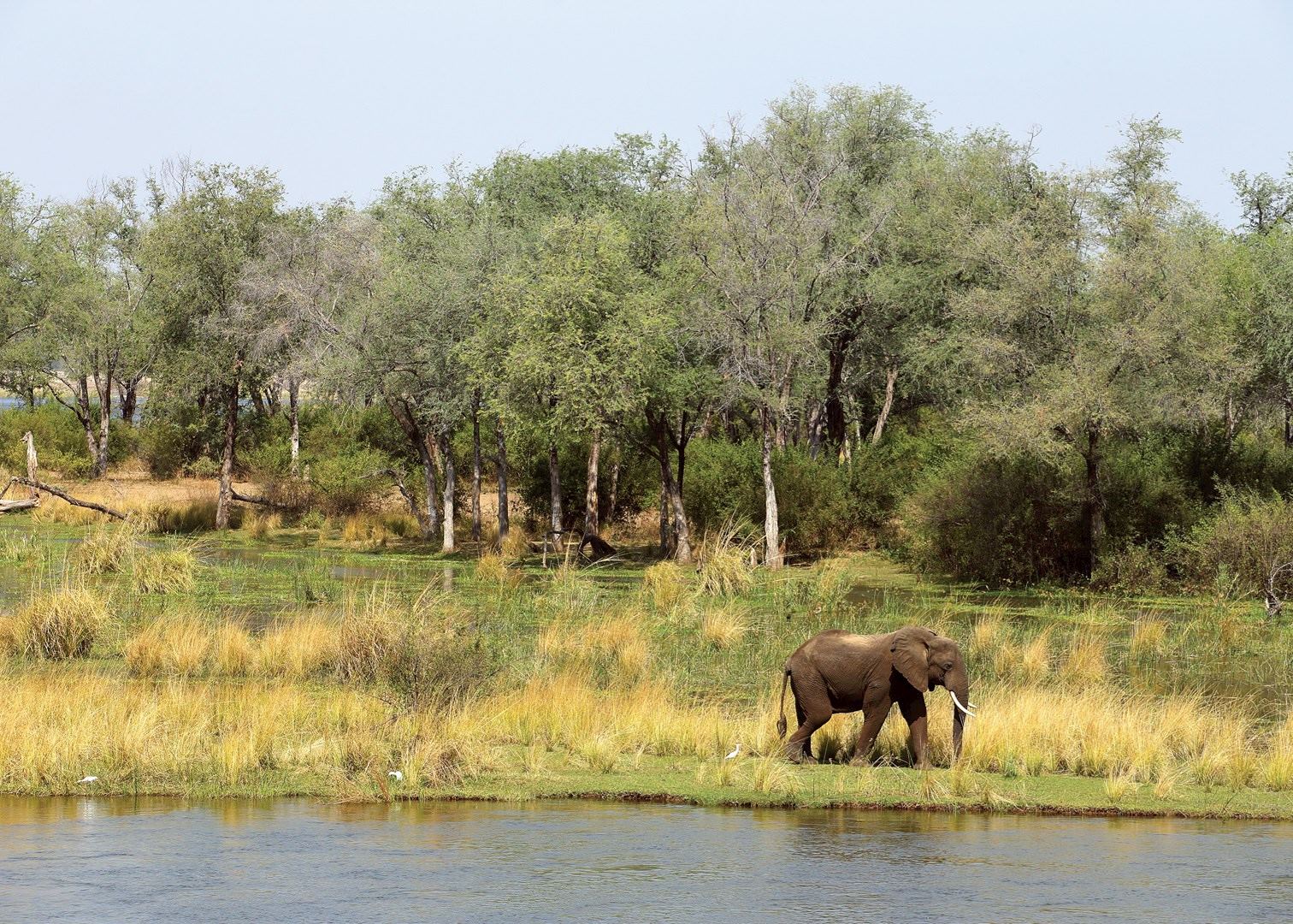 The Lower Zambezi National Park in Zambia Audley Travel
