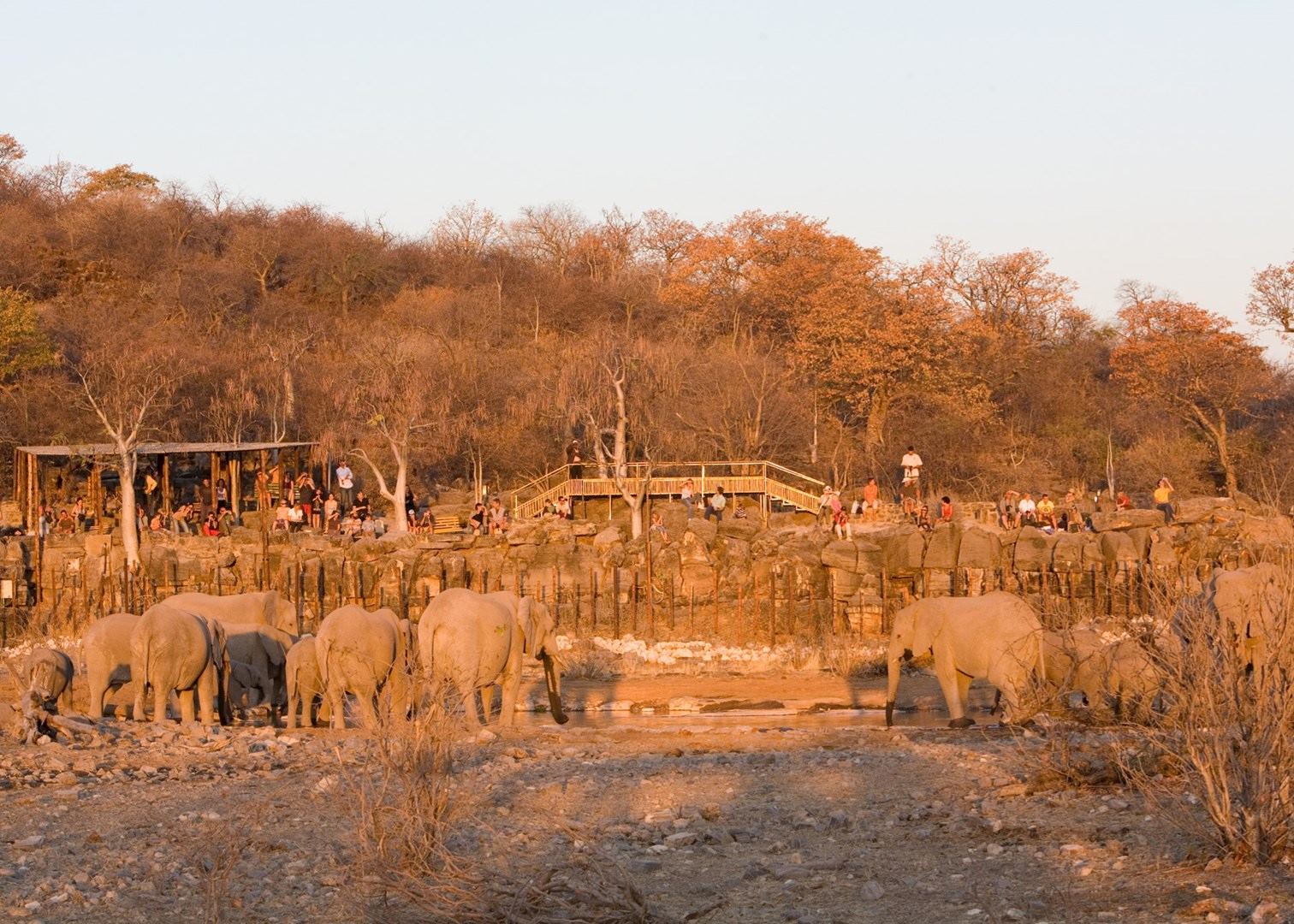 Skeleton Coast Namibia >> Halali Rest Camp | Etosha National Park | Audley Travel Skeleton Coast Namibia >> Halali Rest Camp | Etosha National Park | Audley Travel