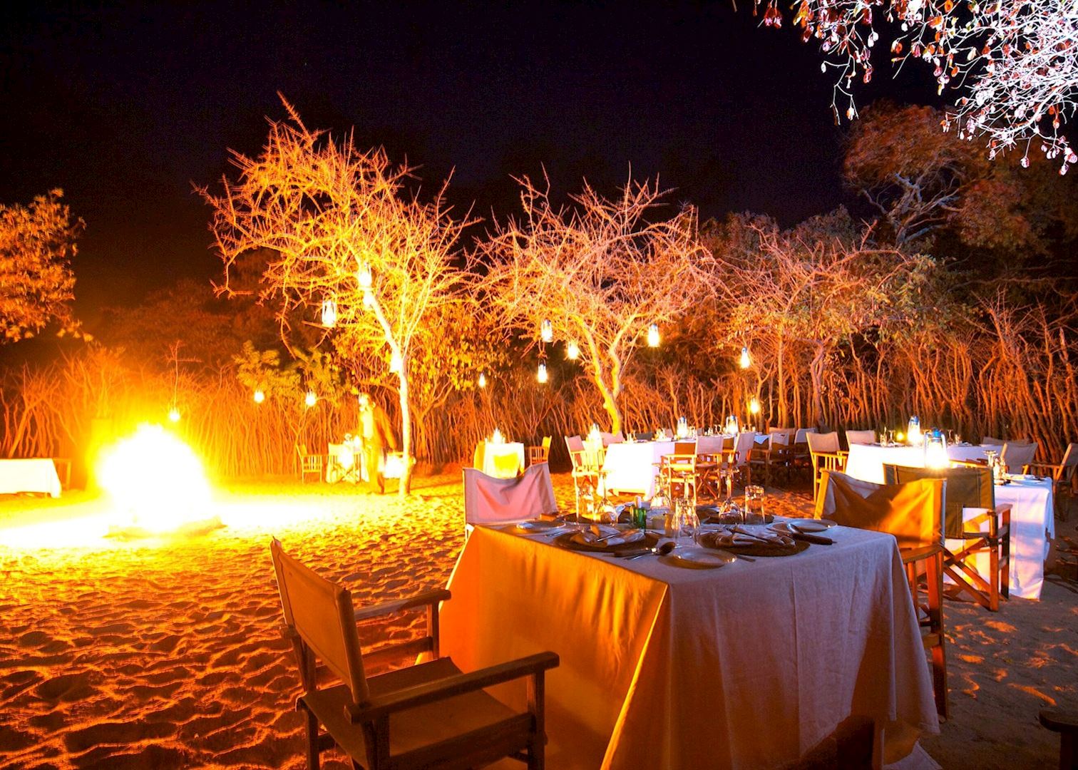 Tarangire Treetops Audley Travel