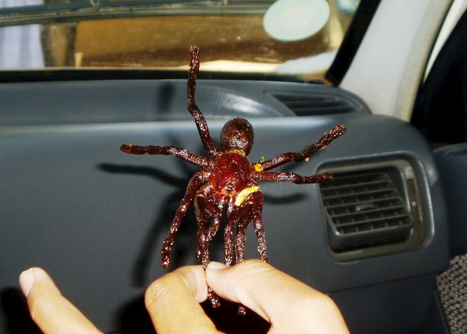 Deep Fried Spider, Skuon, Cambodia