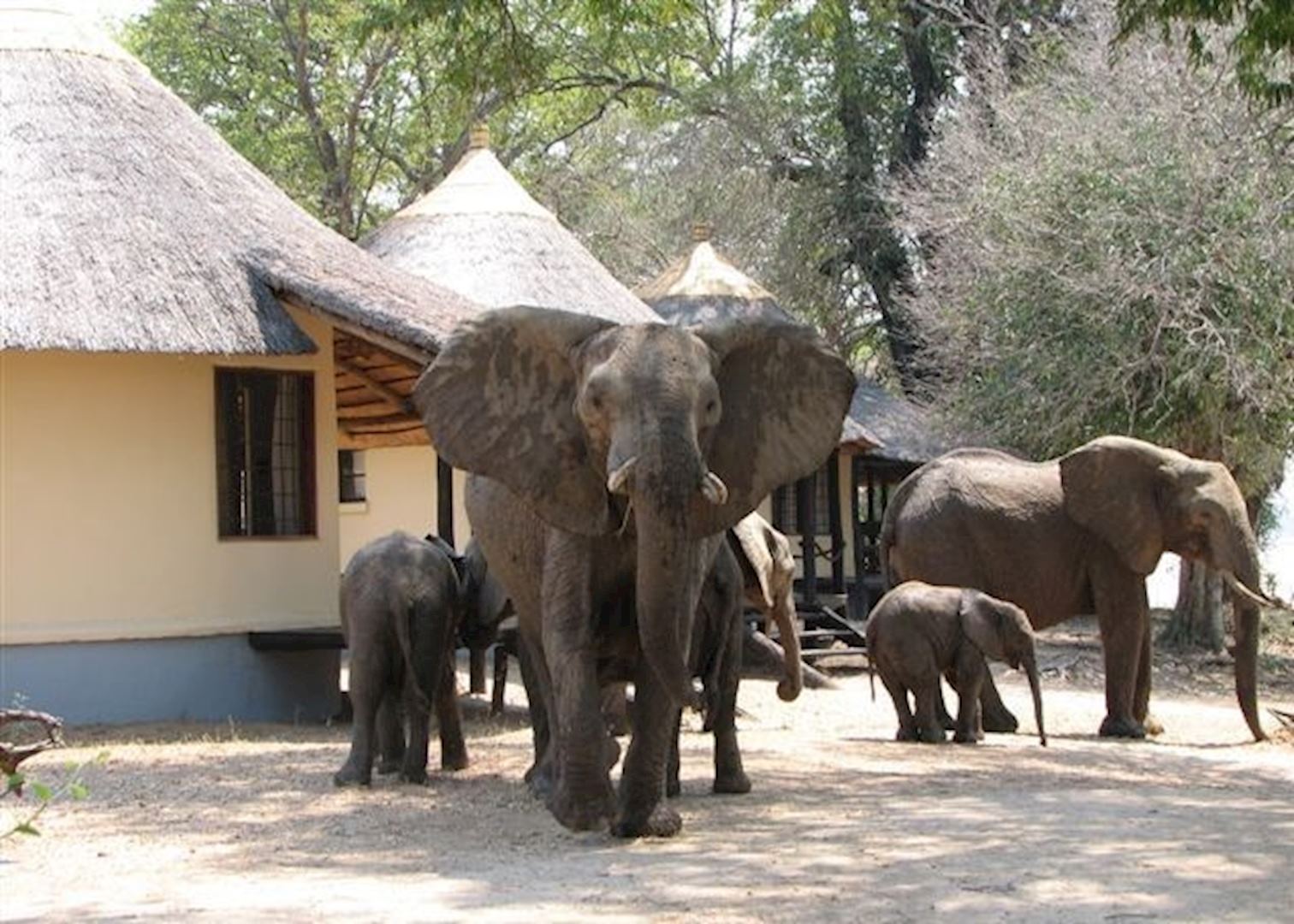 Nsefu South Luangwa National Park Hotels Audley Travel