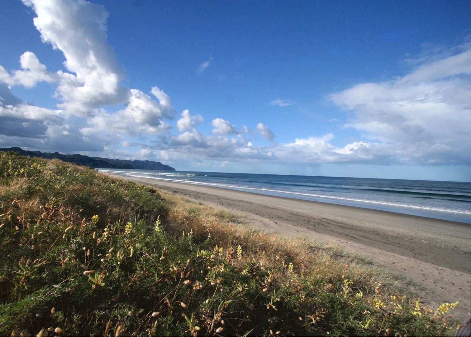 Waihi Beach Lodge Audley Travel