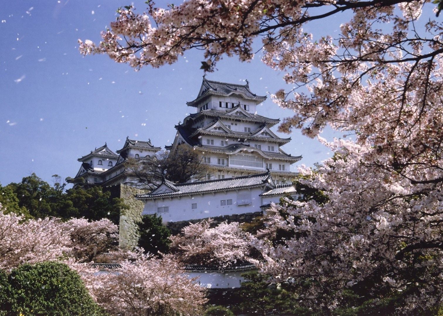 Himeji in spring