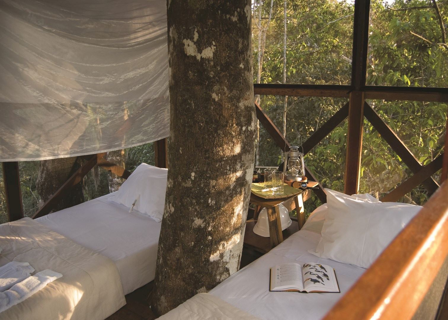 Canopy Tree house, Reserva Amazonica