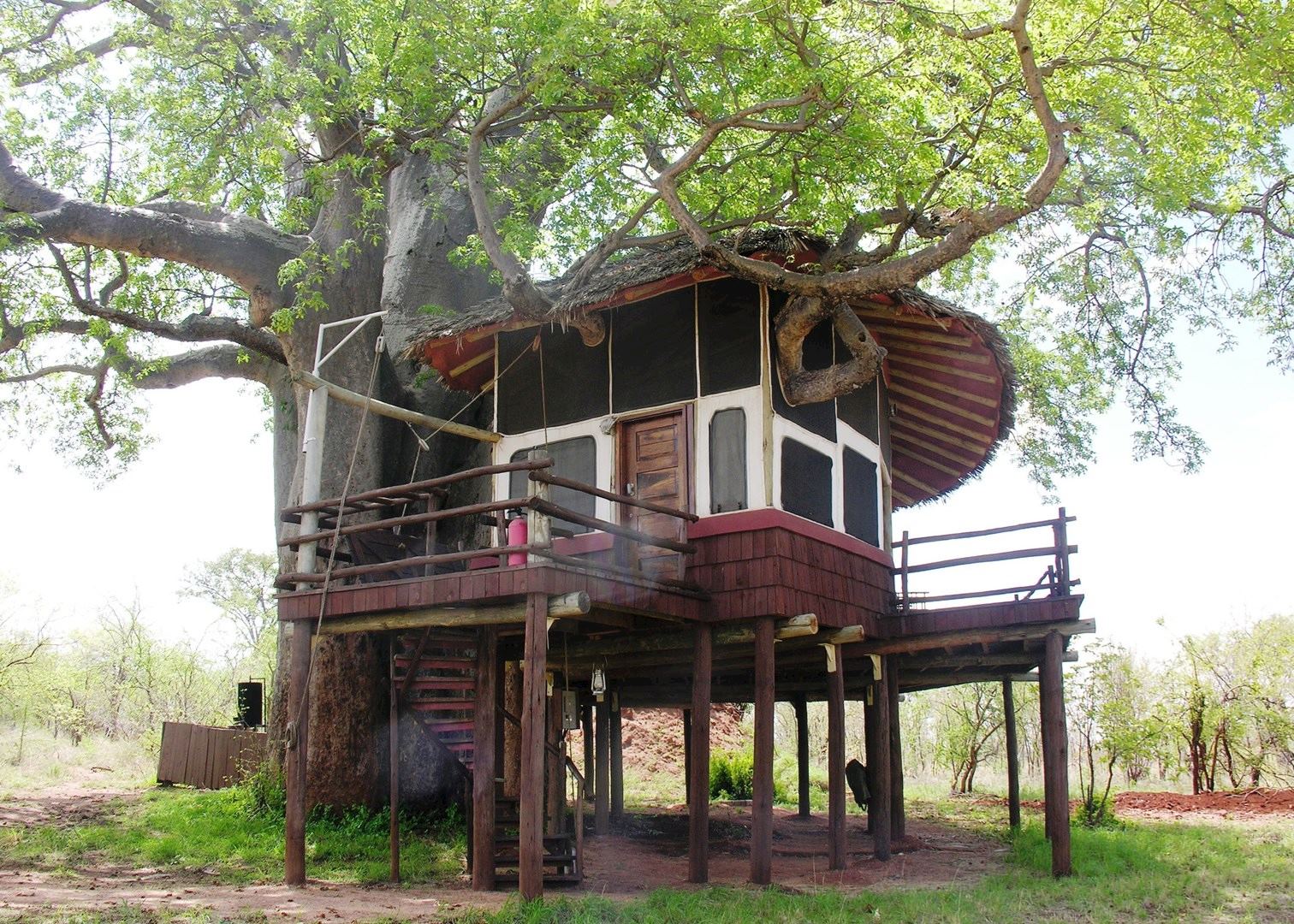 Tarangire Tree Tops, Tarangire National Park
