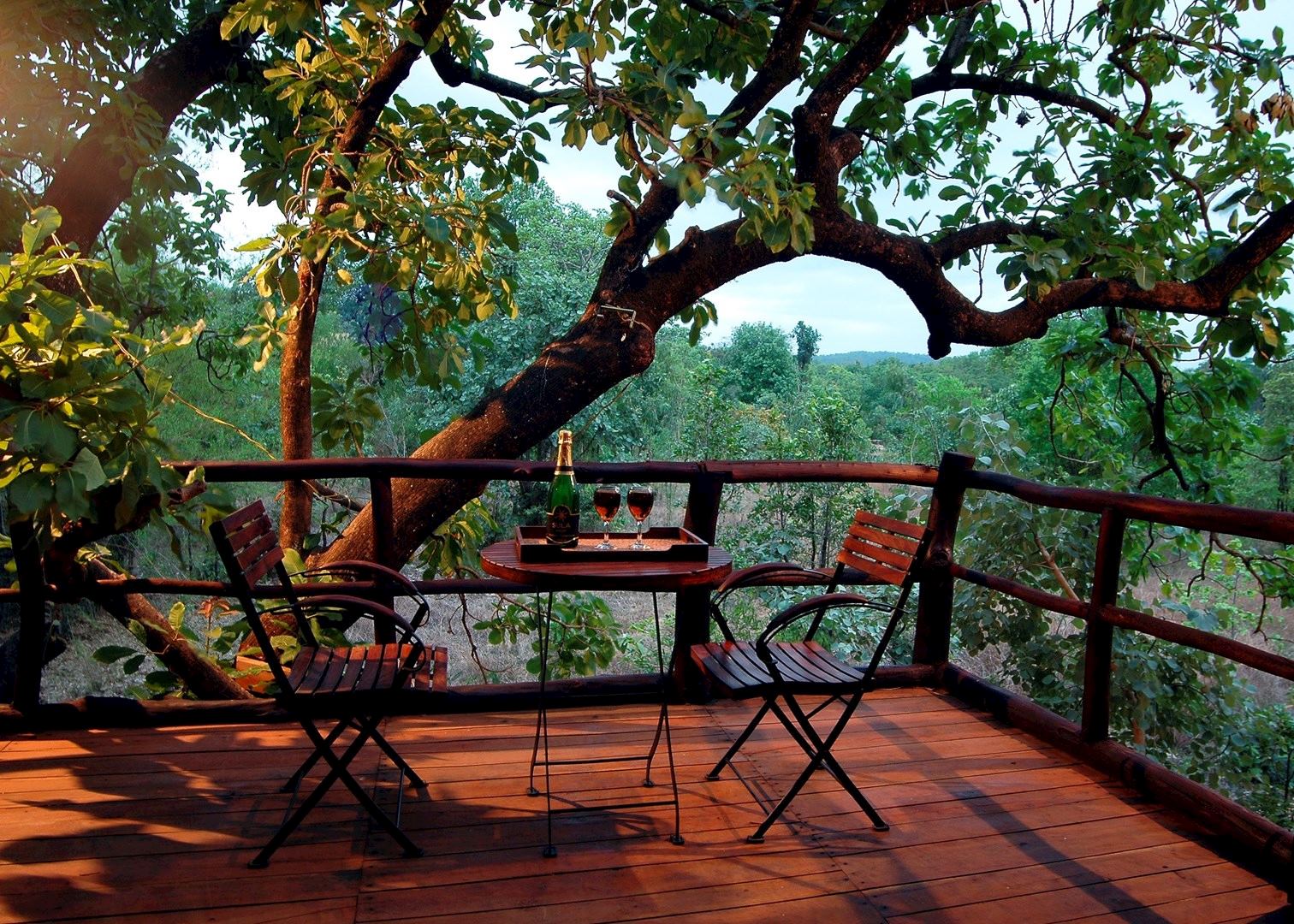 Tree House with a private terrace overlooking the wilderness, Bandhavgarh