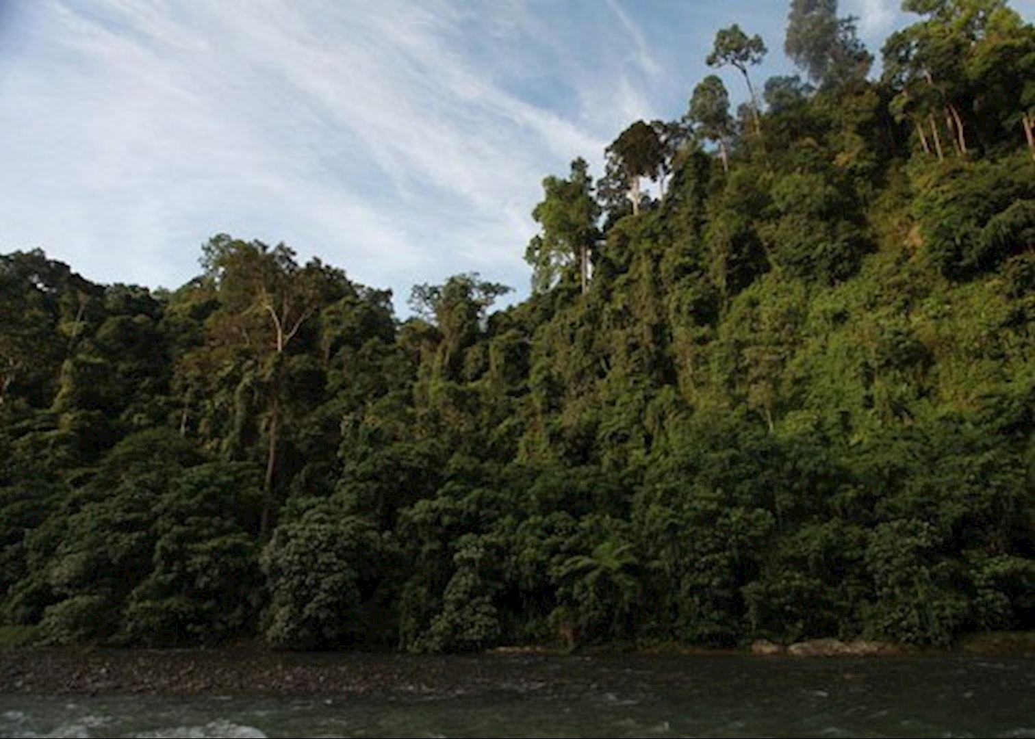 Visit Bukit Lawang on a trip to Indonesia | Audley Travel