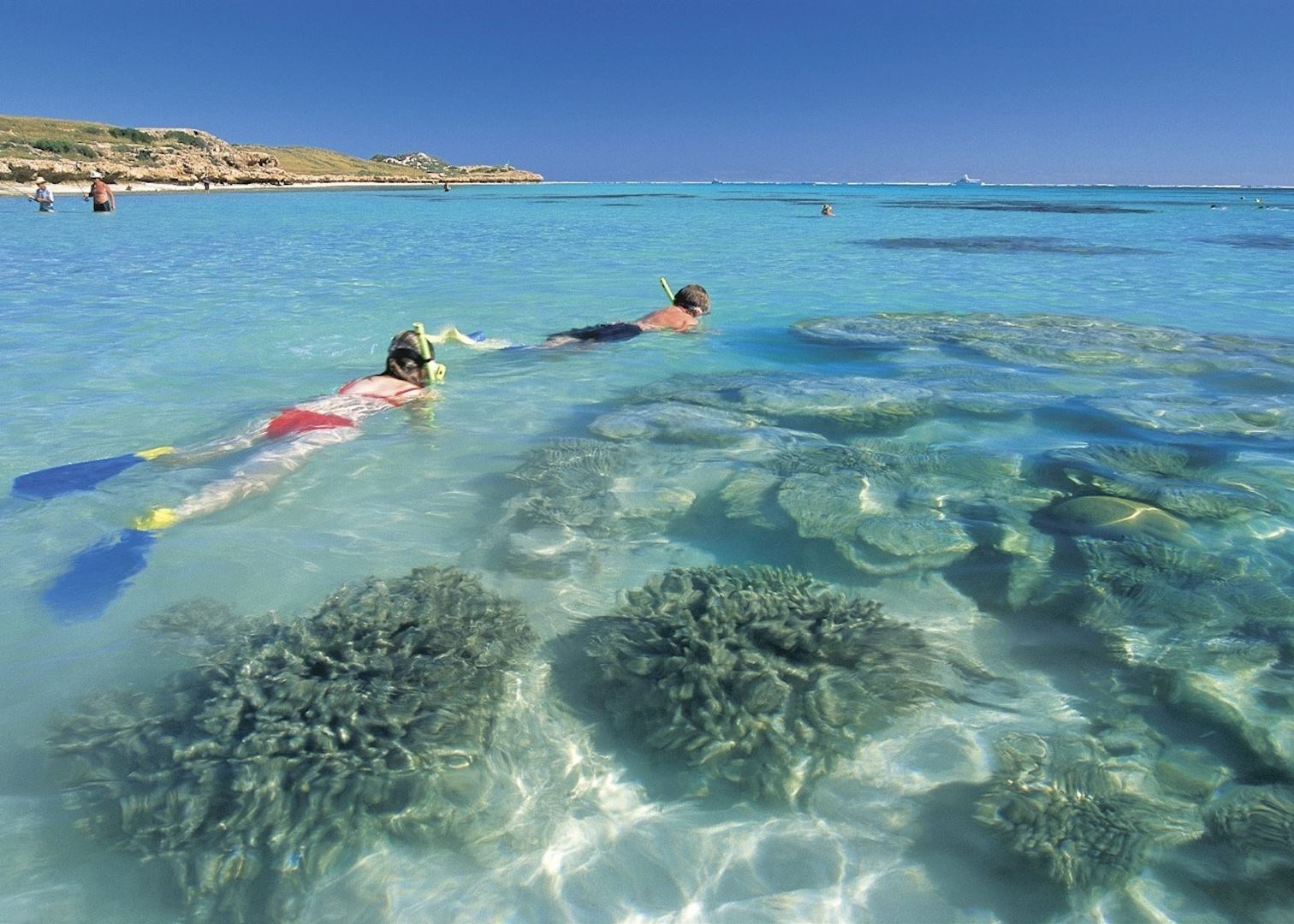 Snorkelling on the Reef