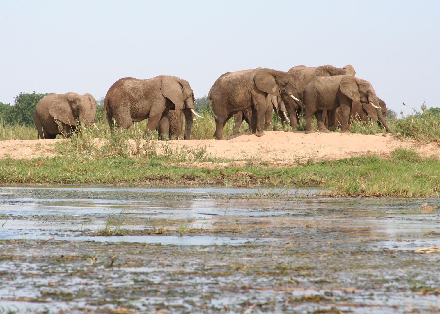 The Lower Zambezi National Park In Zambia Audley Travel 6214