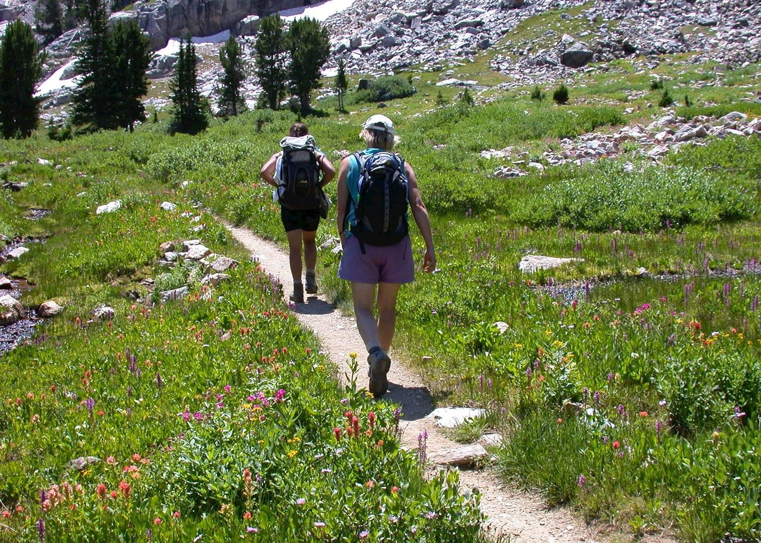 Grand Tetons Guided Hike The USA Audley Travel grand-tetons-guided-hike-the-usa-audley-travel