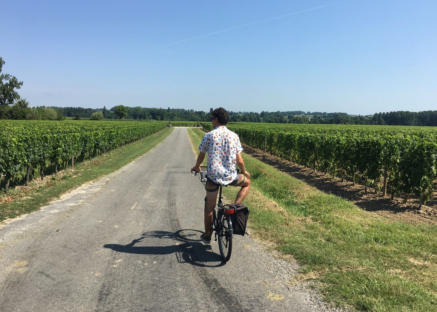 SaintÉmilion vineyards bike tour Audley Travel