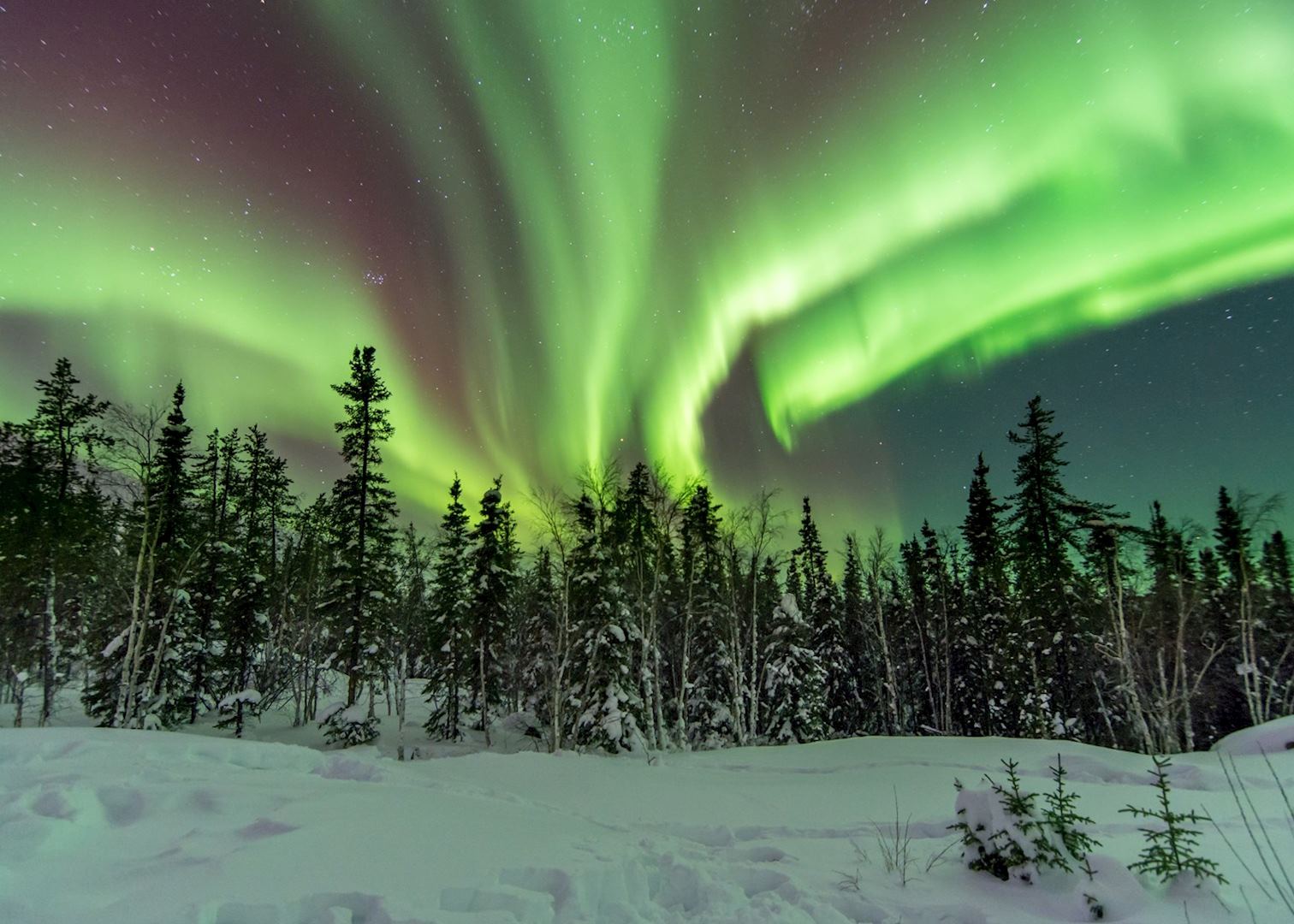 British Columbia and northern lights adventure Audley Travel