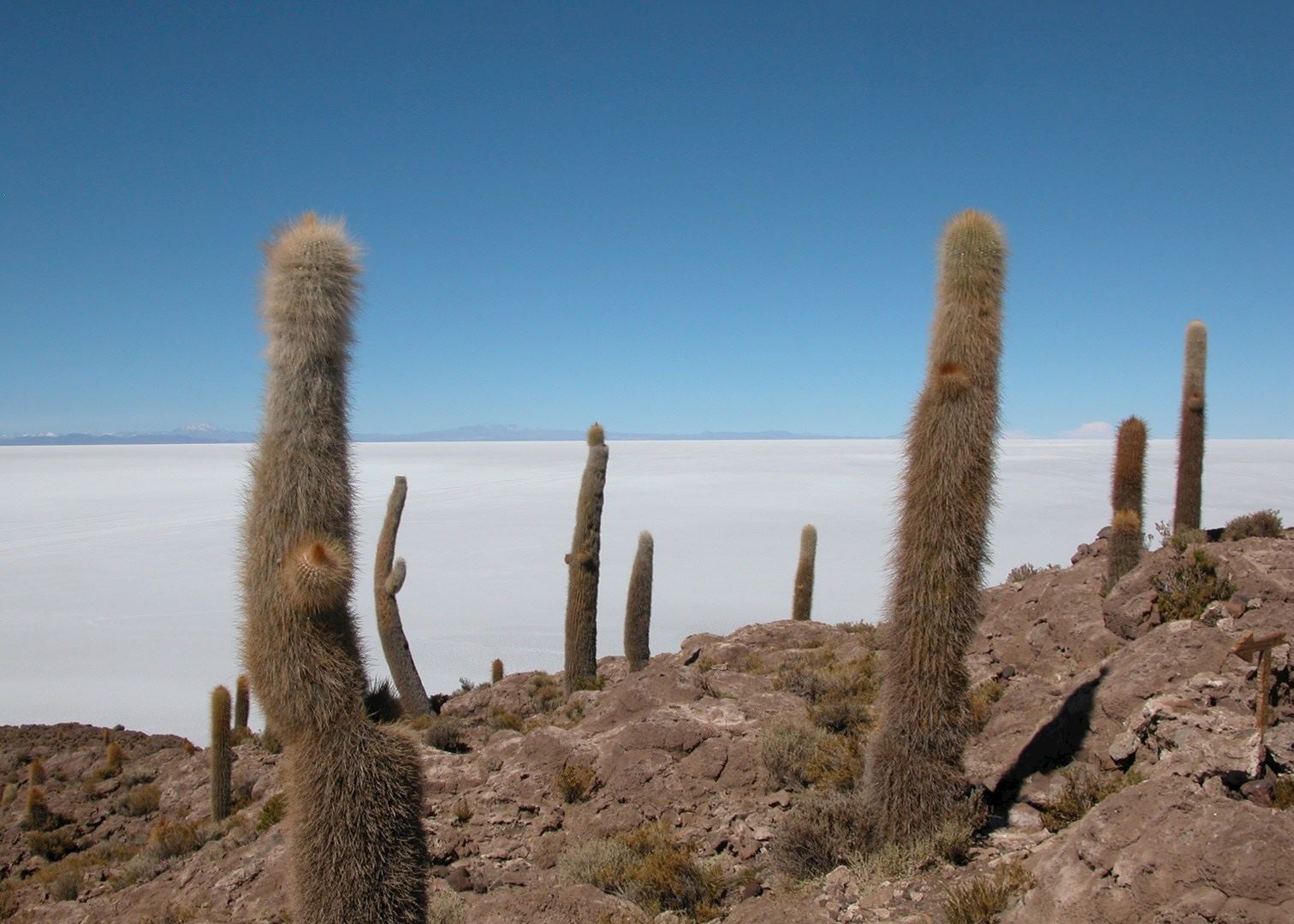 Incahuasi