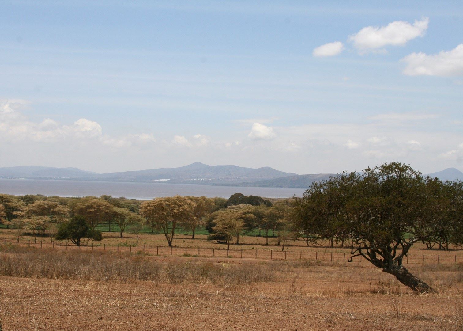 Lake Naivasha, Kenya