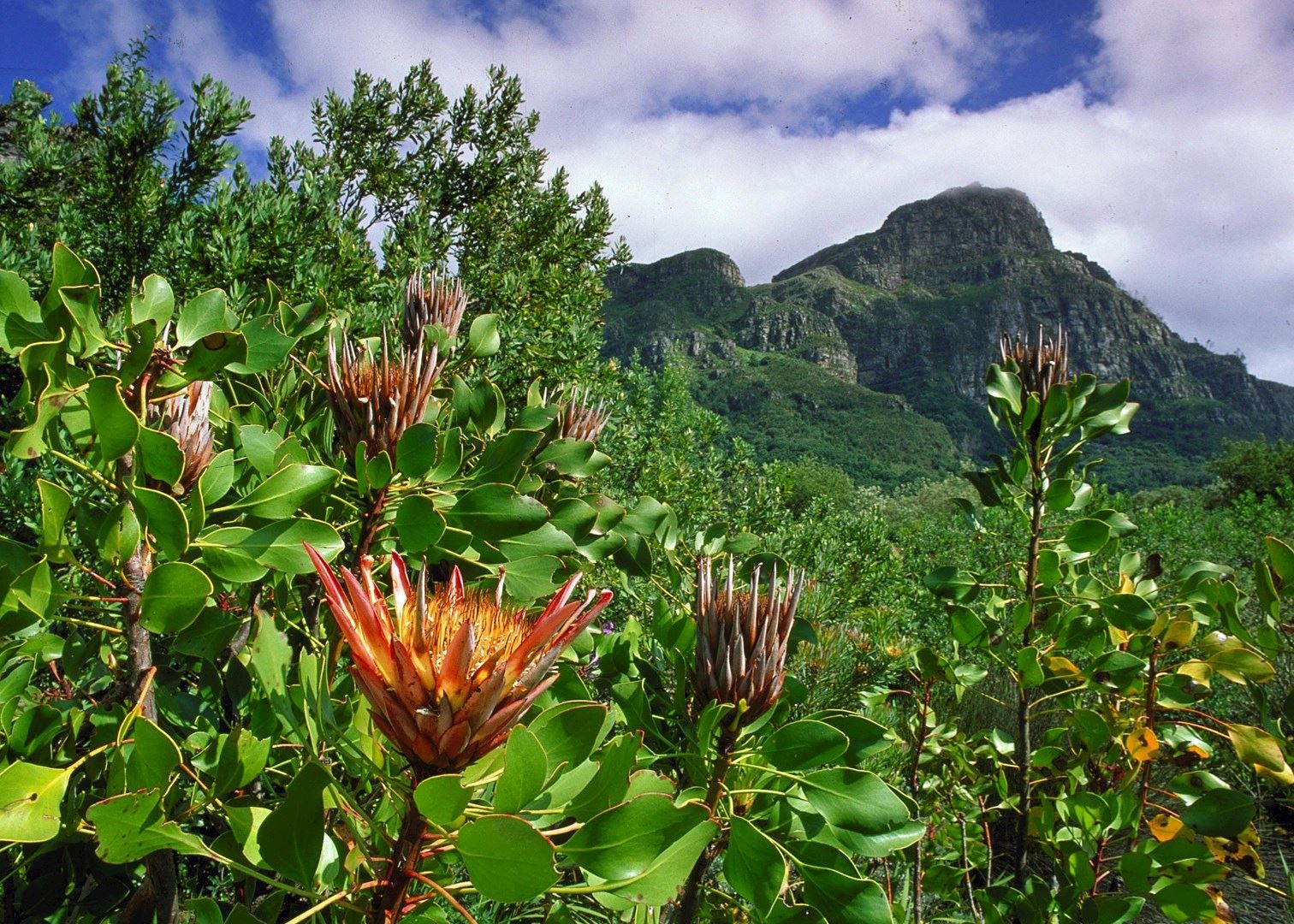 South Africa Accommodation Hotels And Travel South Africa Accommodation Hotels And Travel