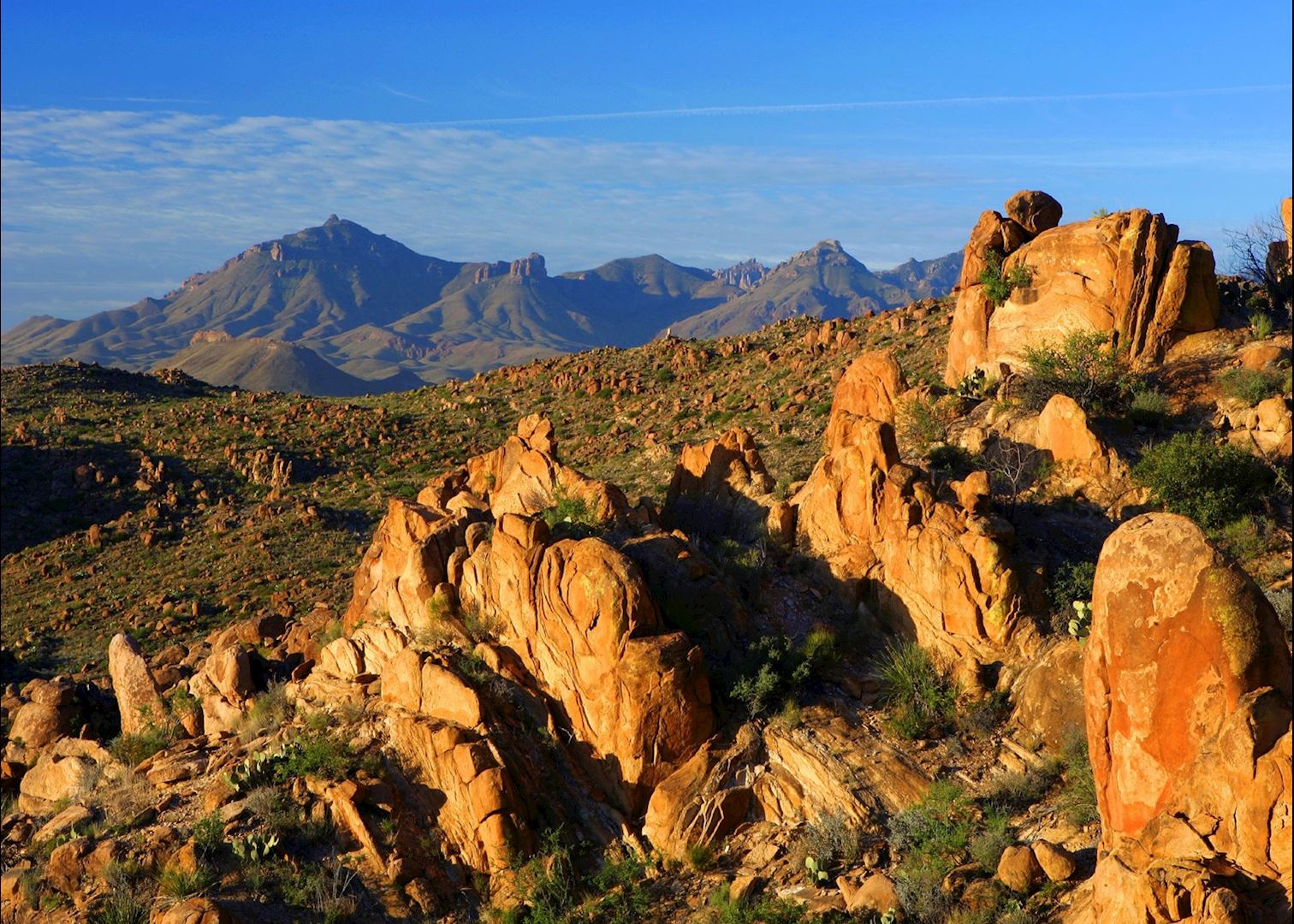 Visit Big Bend National Park on a trip to The USA 