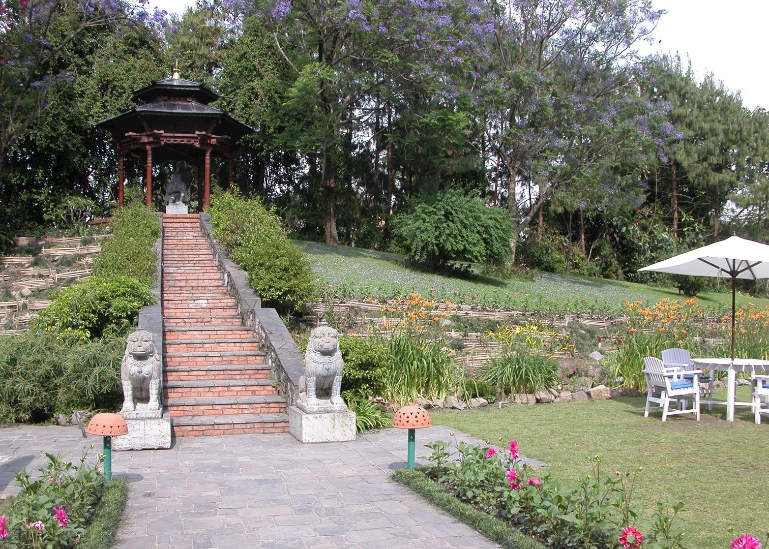 Yak and yeti casino nepal