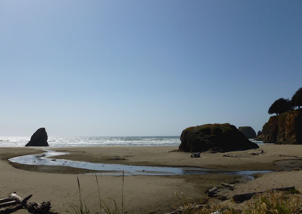 A beach near Highway 101 between Mendocino and Eureka