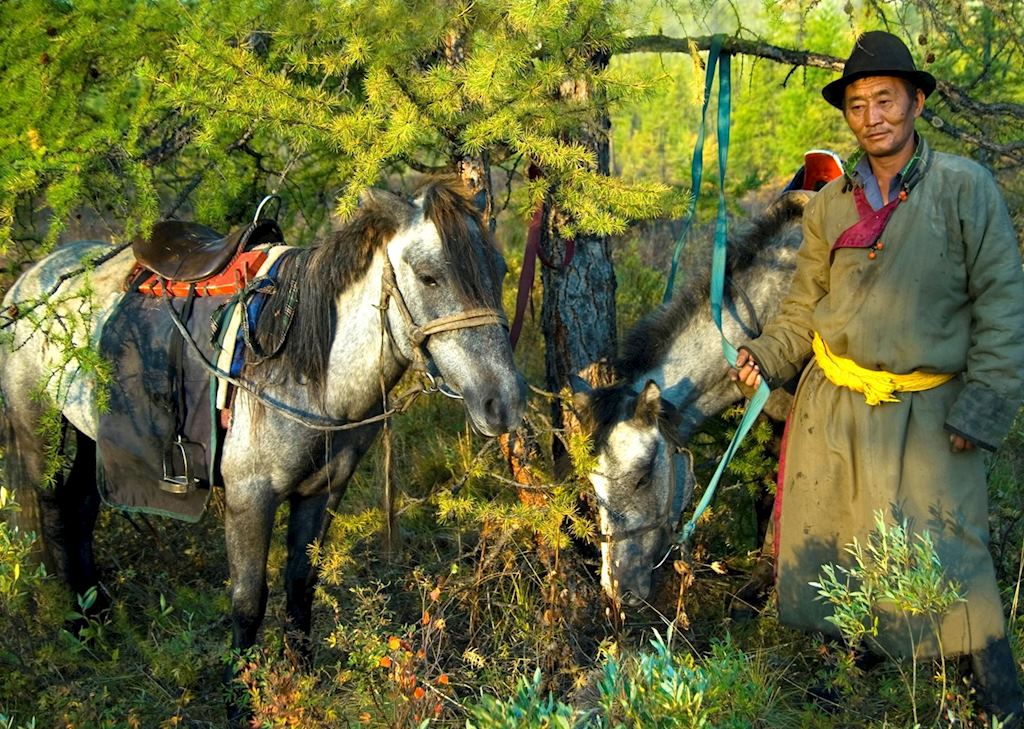 Mongolian with his horses
