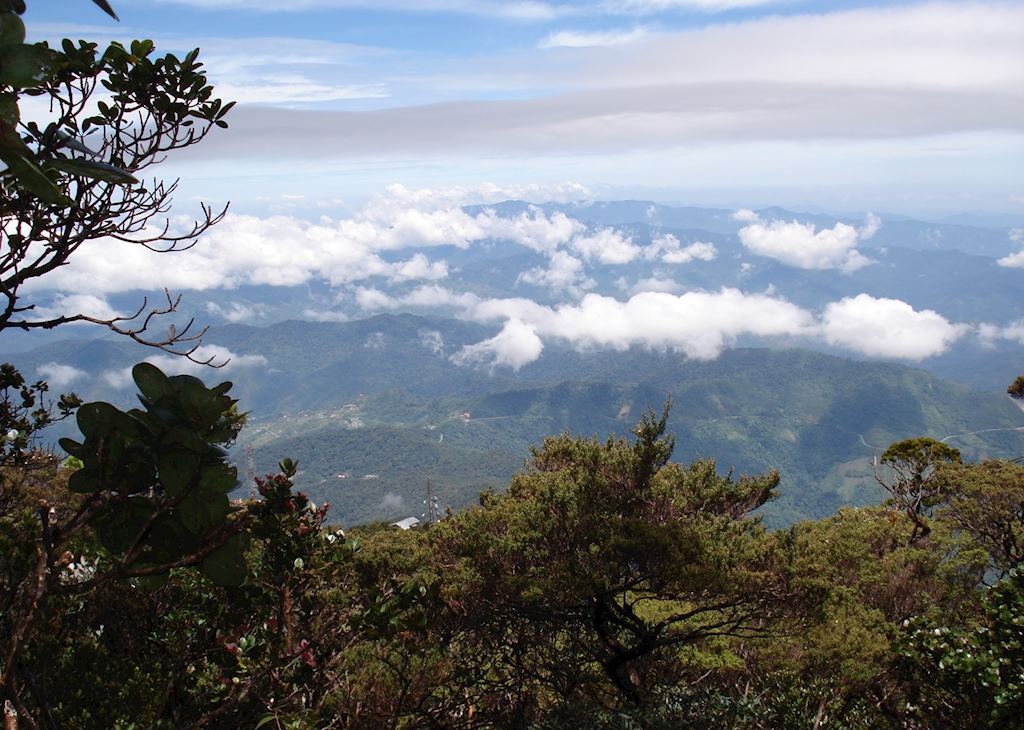 Kinabalu National Park, Malaysian Borneo