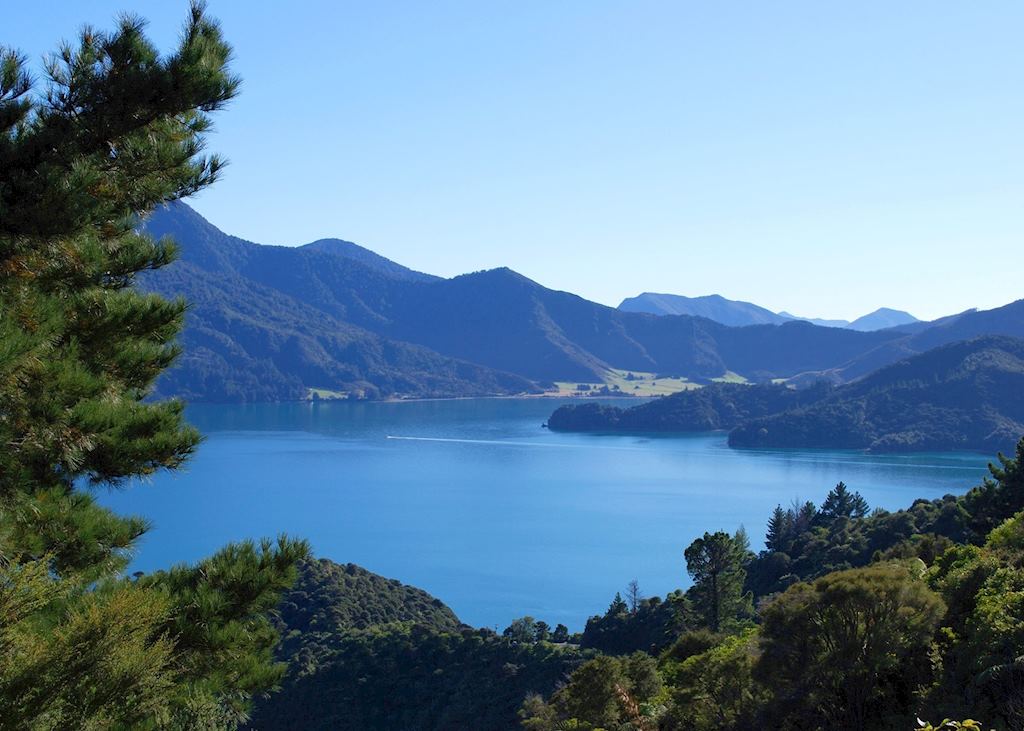 Lake Wanaka, New Zealand