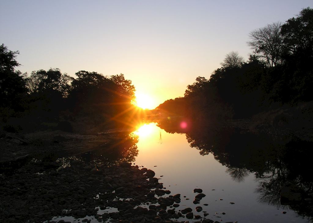 Greater Makalali Game Reserve, South Africa