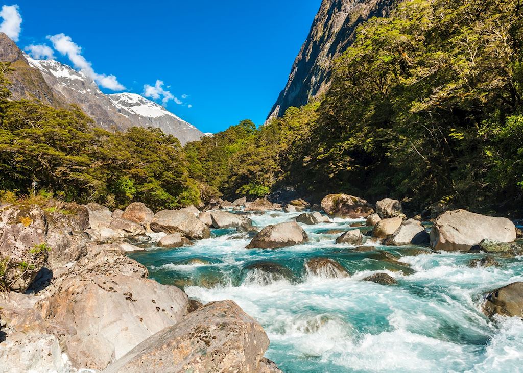 River near Milford Sound, Fiordland