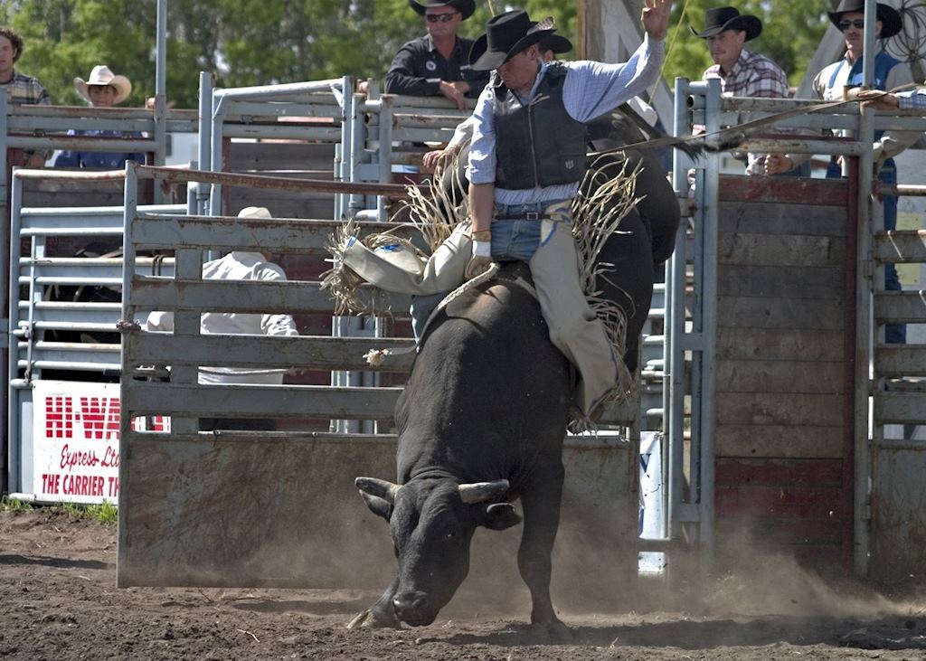 Handhills Bull Rider