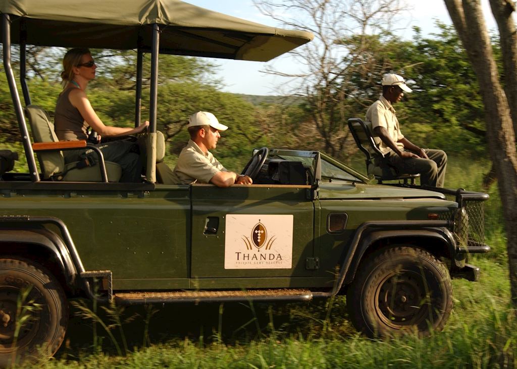 Safari from Thanda Private Reserve