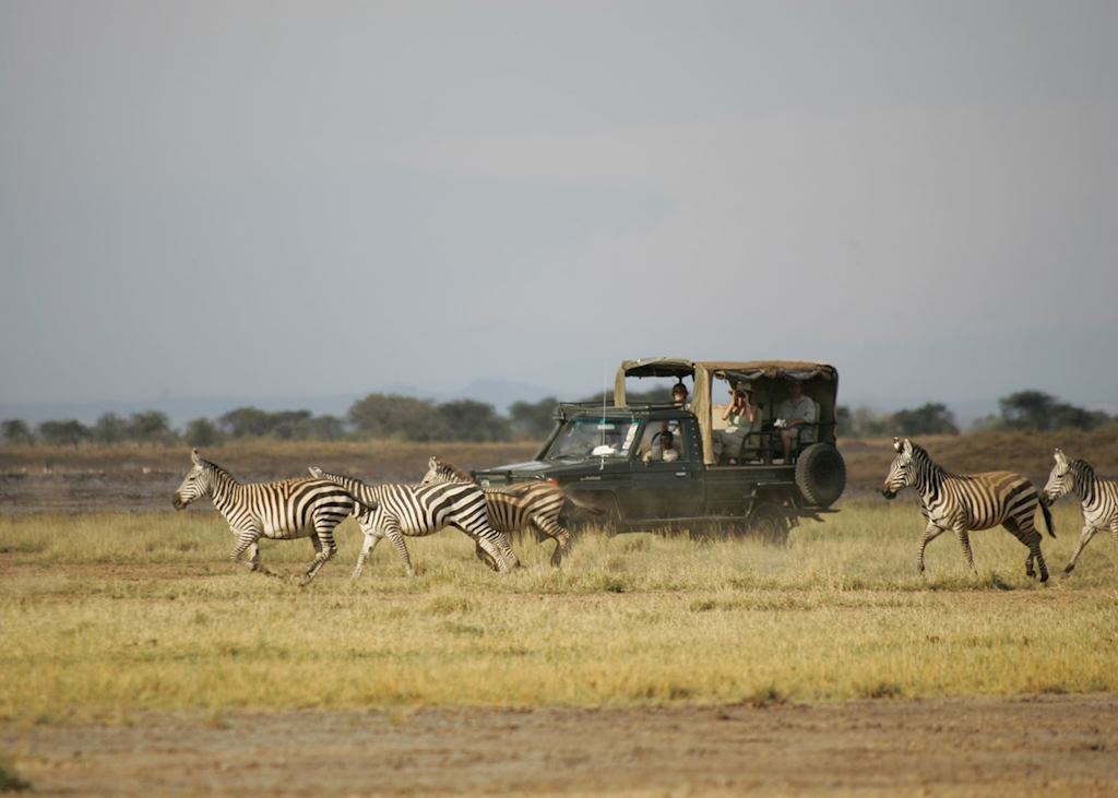 Game drive at Shompole
